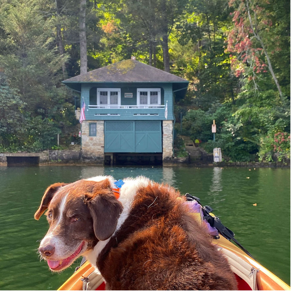 Vintage Boat House in Lake Lure, NC