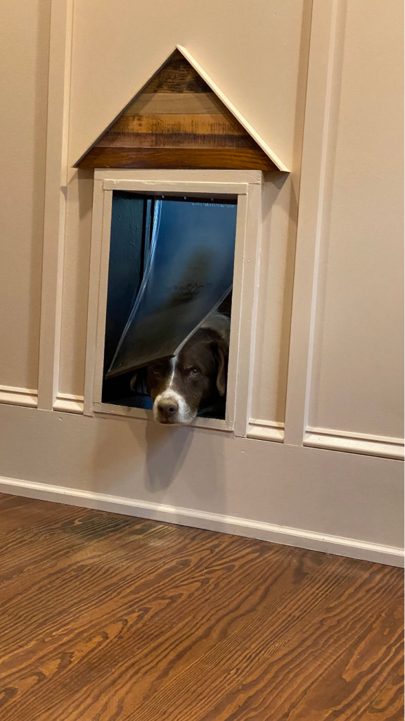 Dog Door