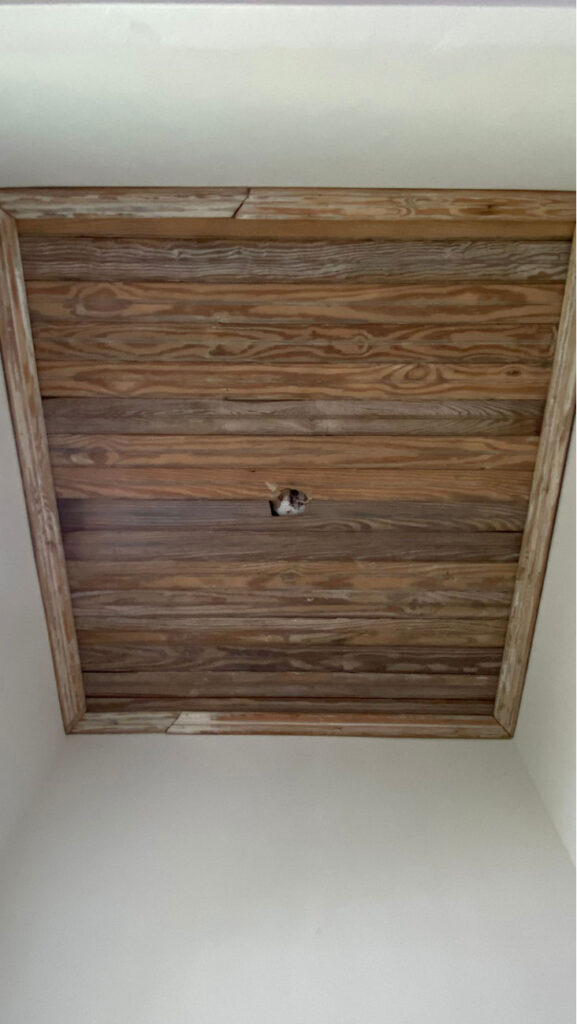 Unfinished beadboard ceiling salvaged from a project