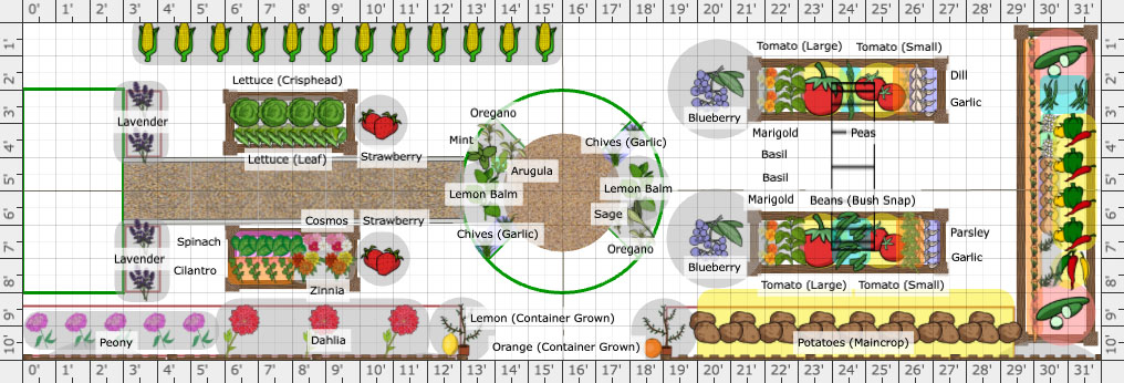 Potager Garden Planting Guide