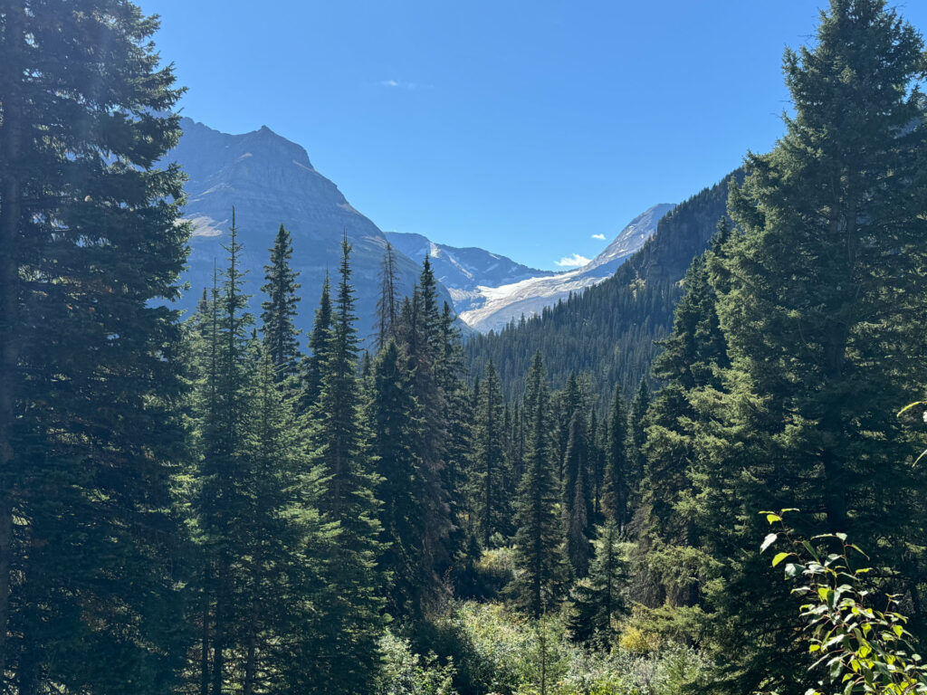 Jackson Glacier Overlook on Going to the Sun Road in Glacier National Park