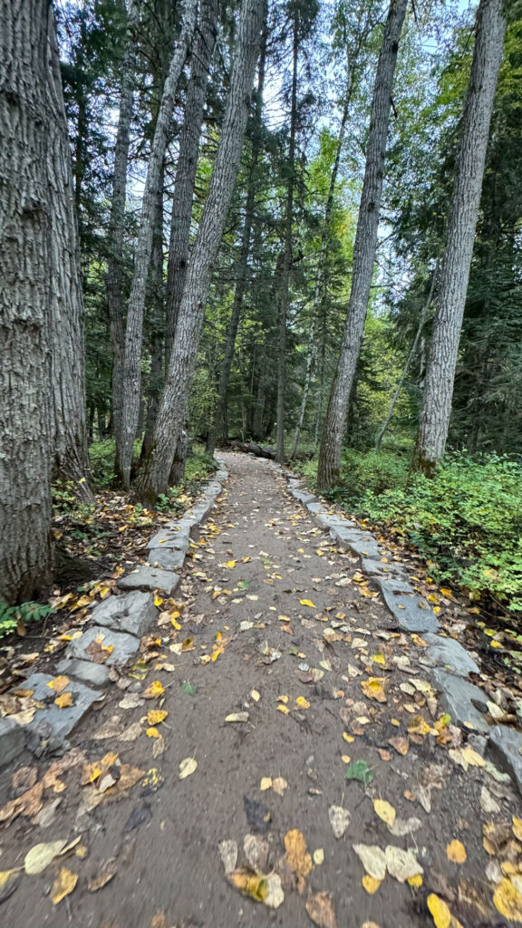 Trail of the Cedars in Glacier National Park