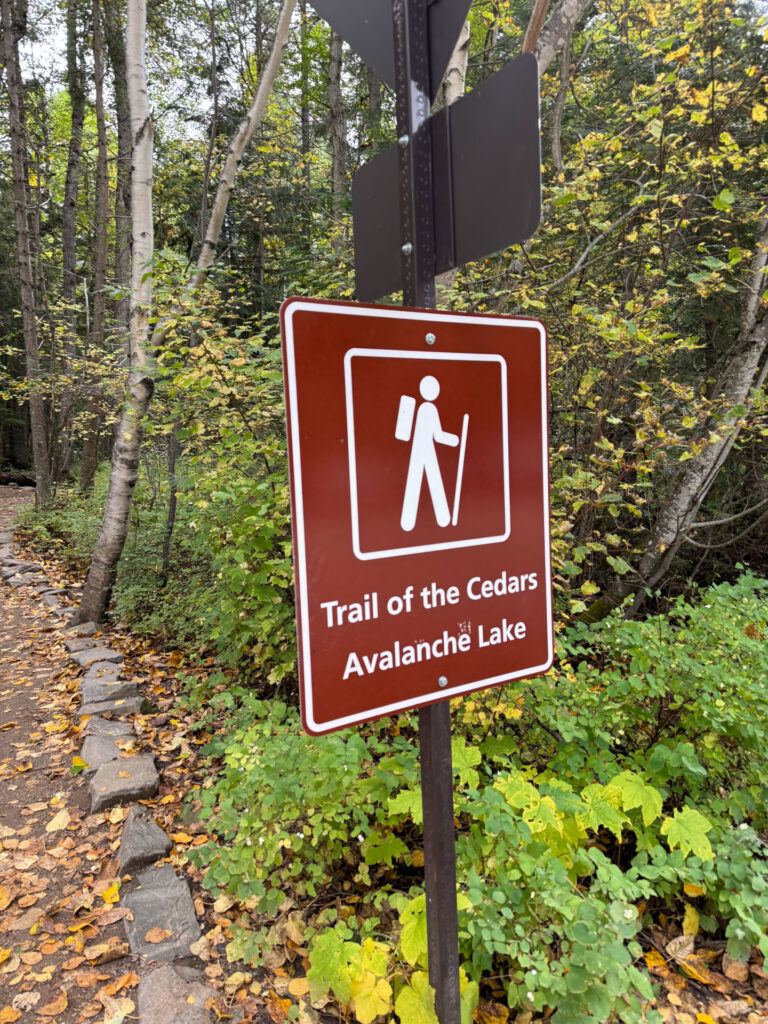 Trail of the Cedars and Avalanche Lake