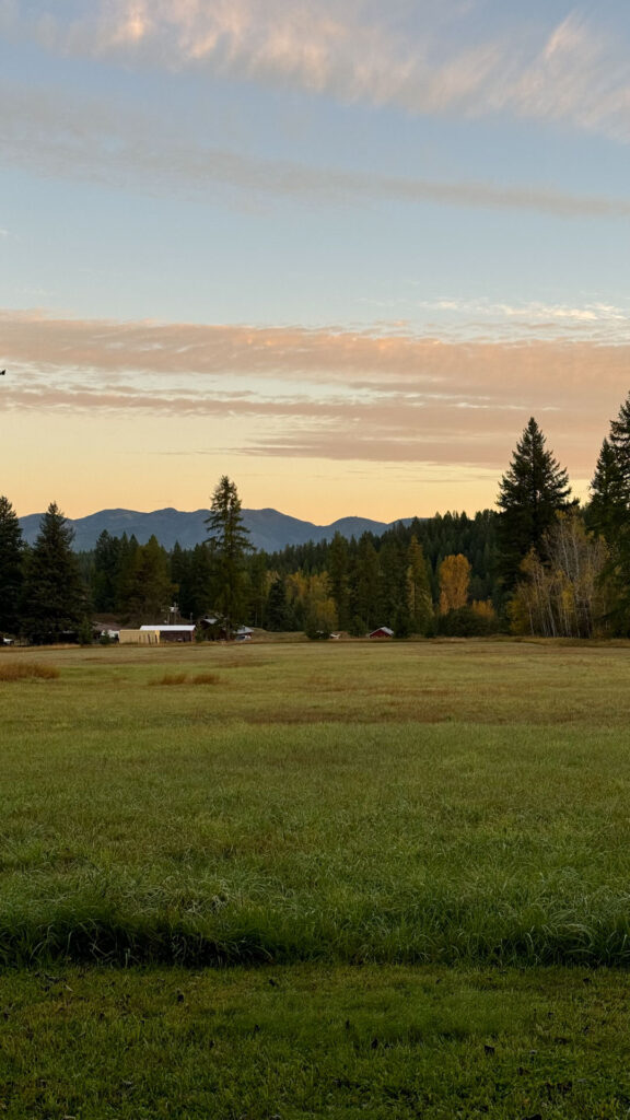 Abbott Valley Homestead