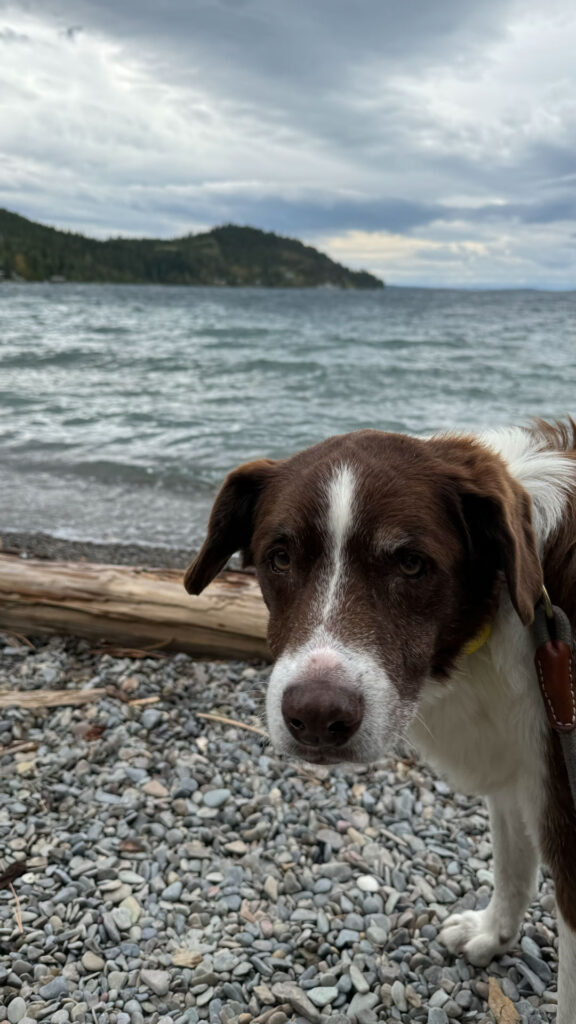 Flathead Lake in Montana