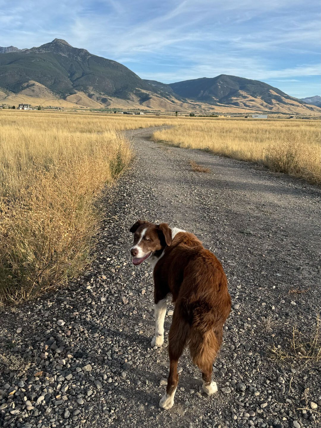 Yellowstone Lodging