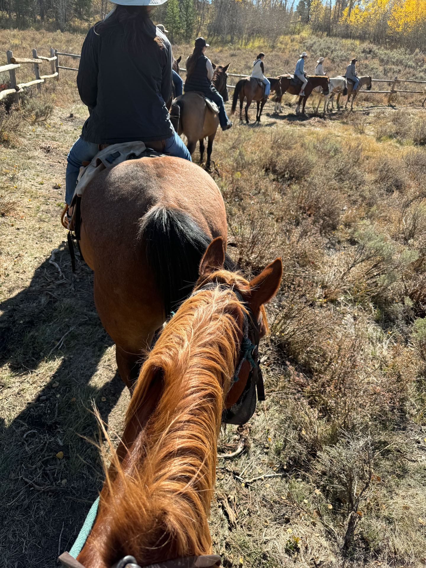 Heart Six Ranch Horseback Riding