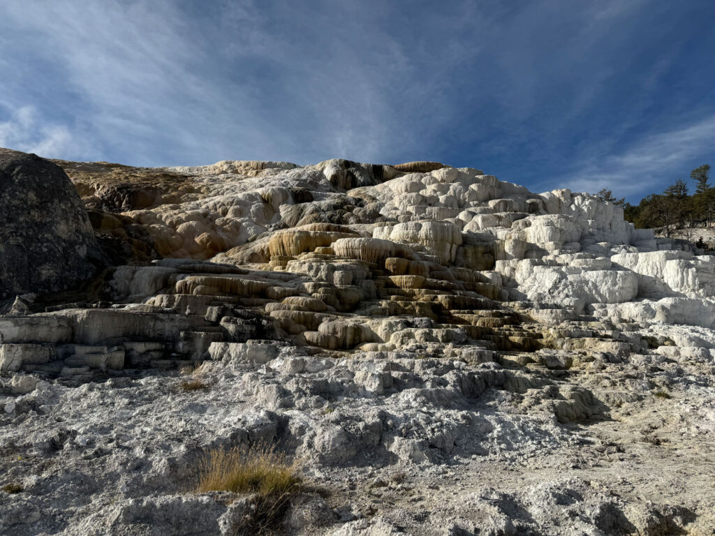 Mammoth Hot Springs