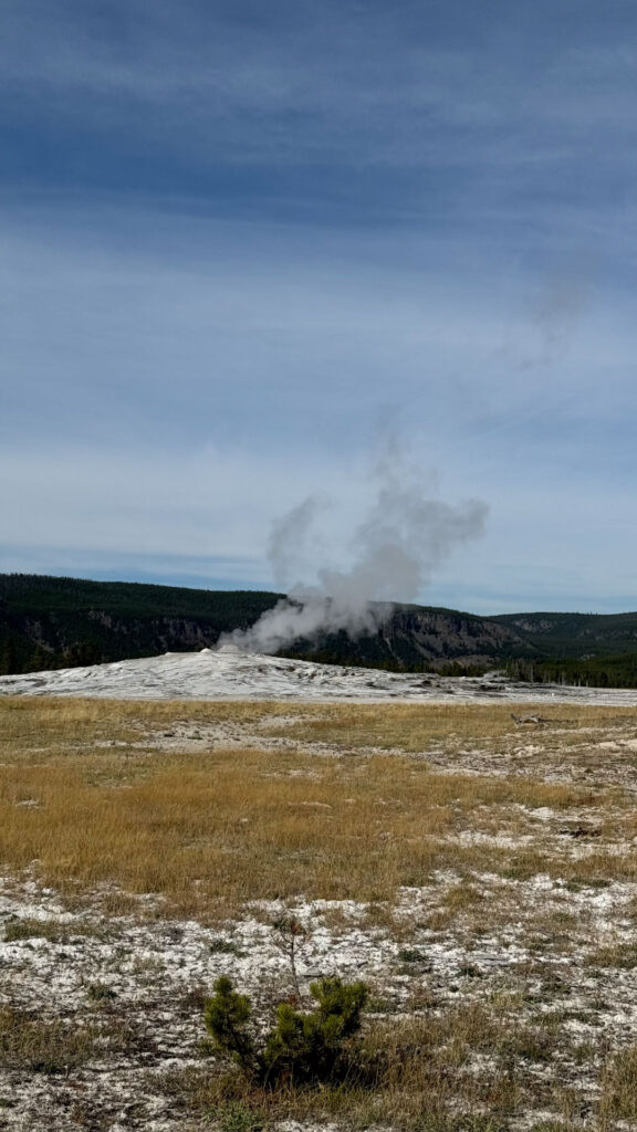 Old Faithful at Yellowstone