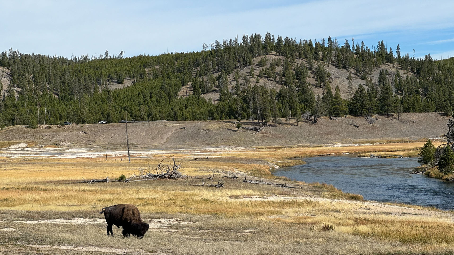 Yellowstone