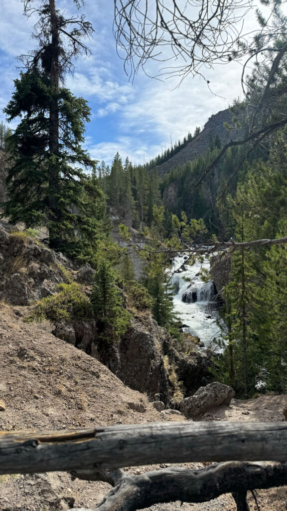 Gibbon Falls at Yellowstone