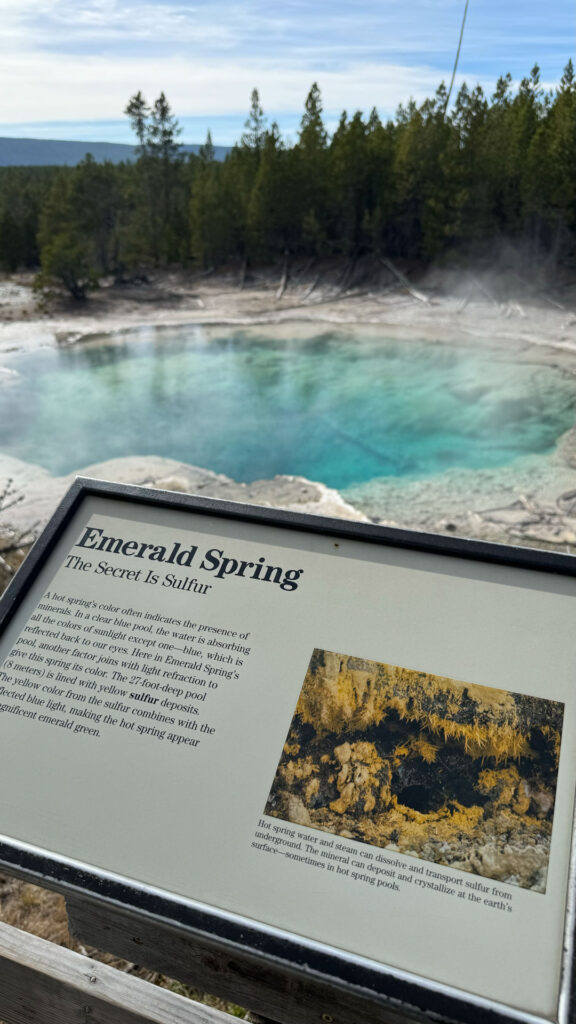 Emerald Spring