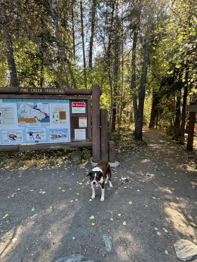 Pine Creek Trailhead