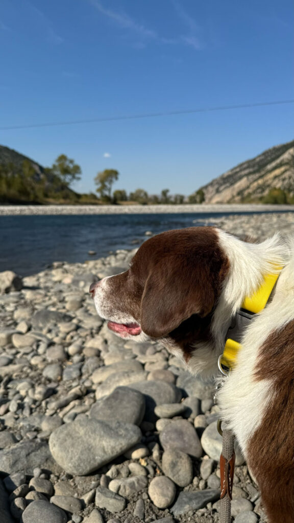 Yellowstone River