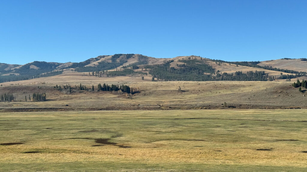 Lamar Valley in Yellowstone