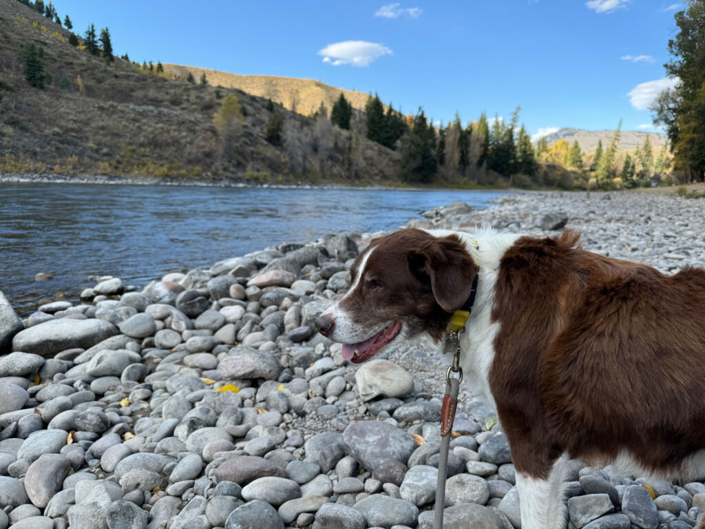 Snake River