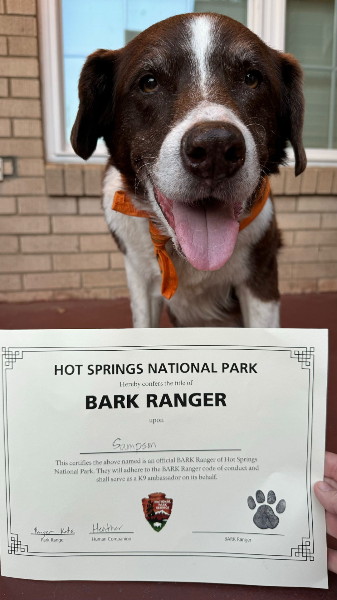 BARK Ranger