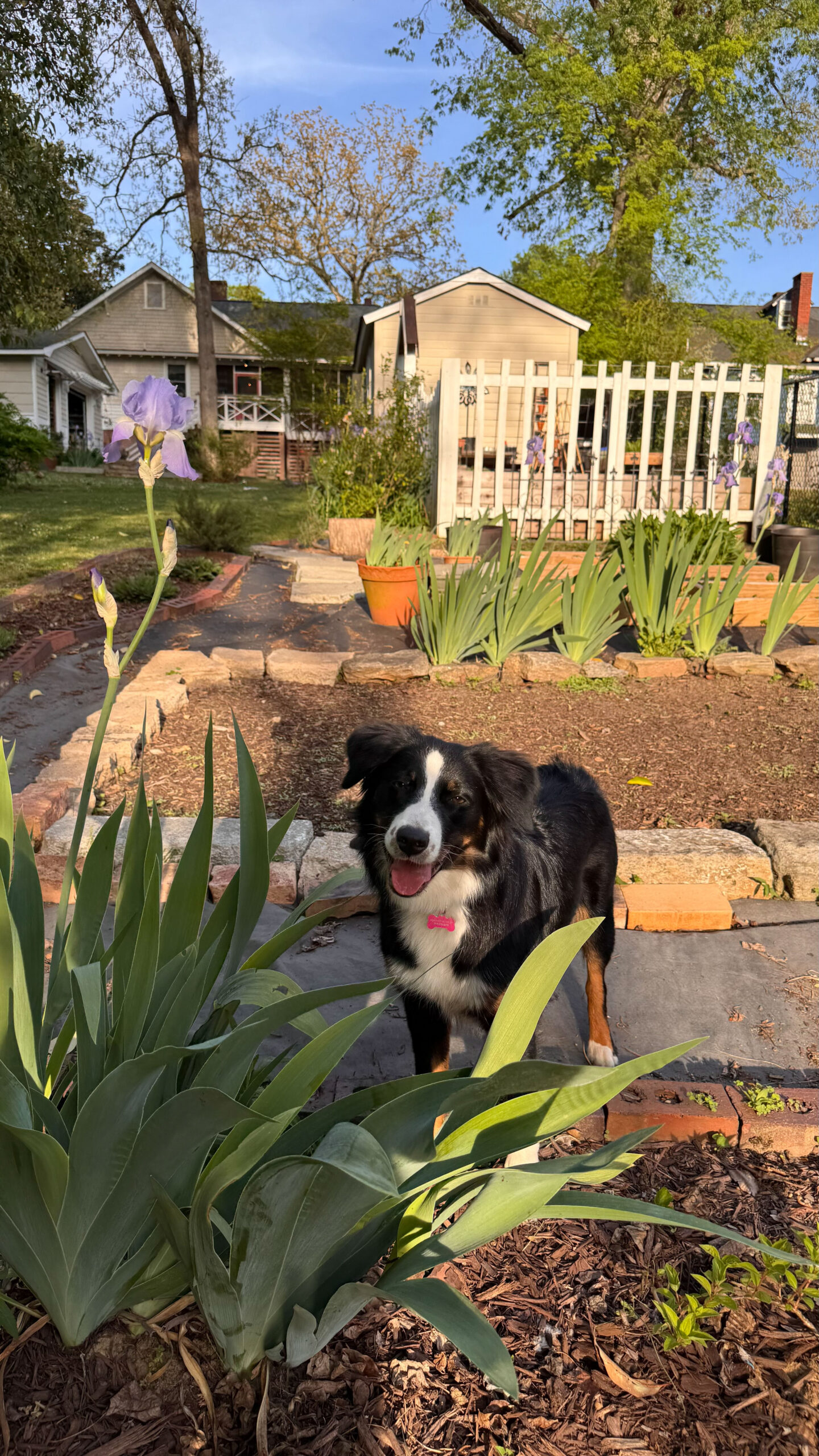 Fresh Cut Garden Extension