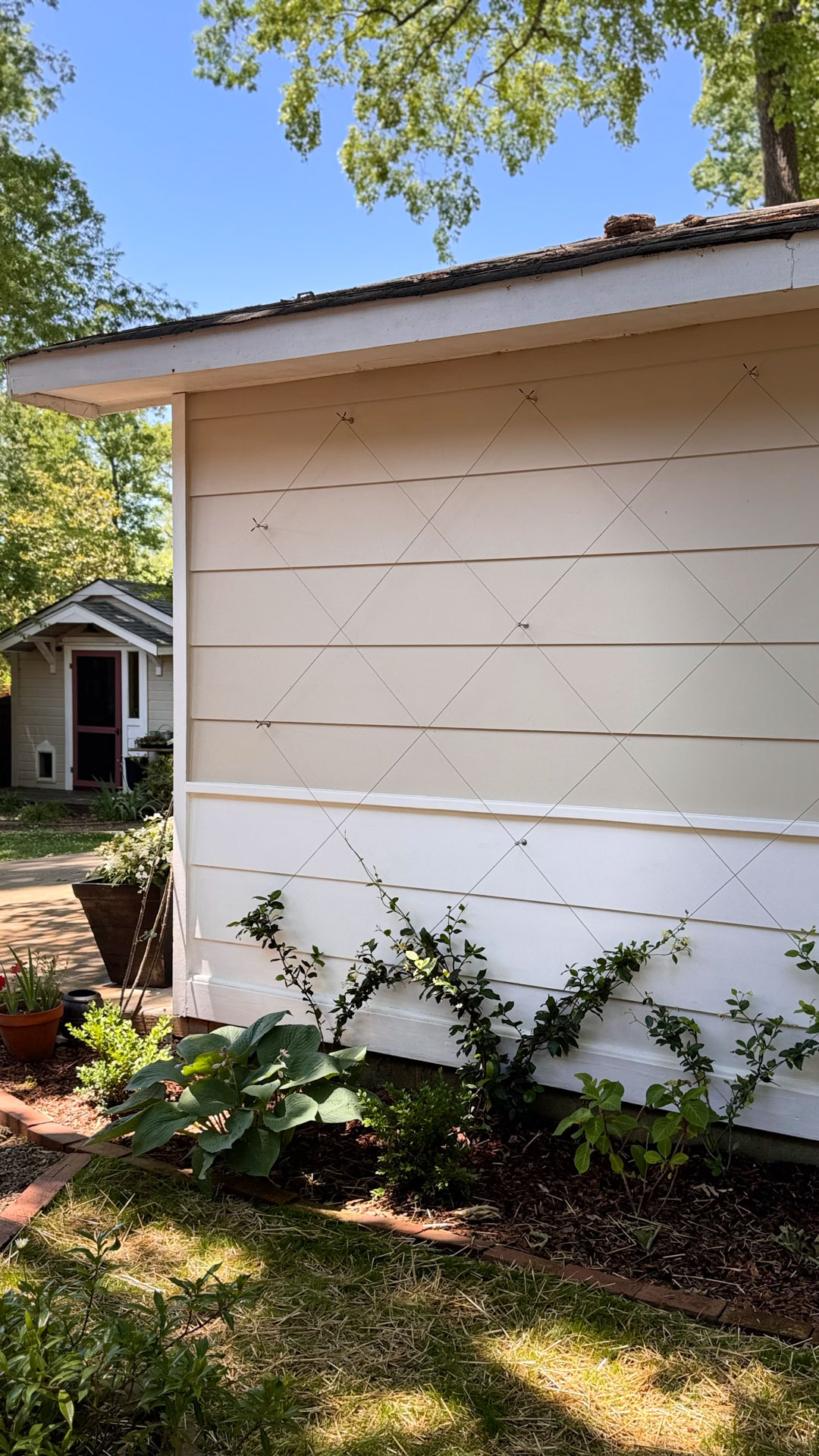 Diamond Trellis