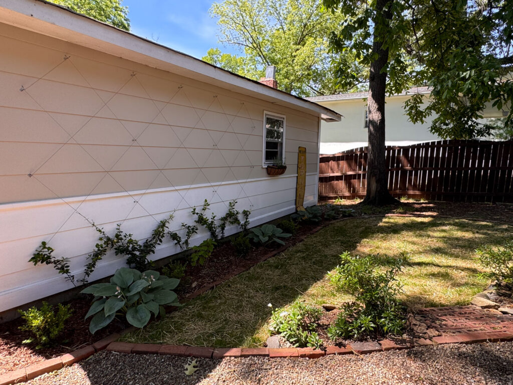 Diamond Trellis Kit